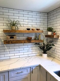 the kitchen counter is clean and ready to be used as a planter, potted plants, and other items