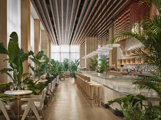 an indoor restaurant with plants and tables