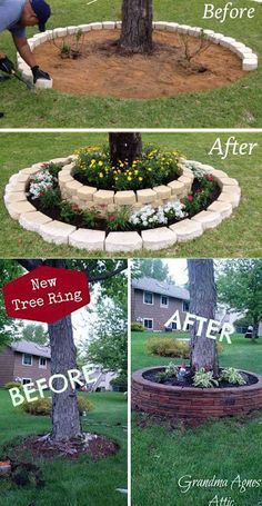 the before and after pictures of landscaping in front of a house, including a tree ring