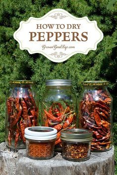 jars filled with food sitting on top of a tree stump