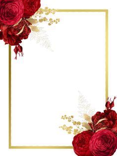 red roses and gold leaves on a white background with a golden frame for the text