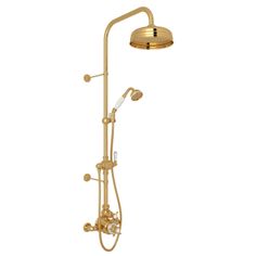 the shower head and handset are shown in gold