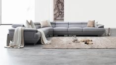 a living room with a gray sectional couch and white rug on the floor in front of it