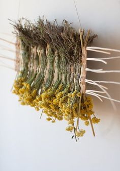 dried flowers hang from the ceiling in front of a white wall