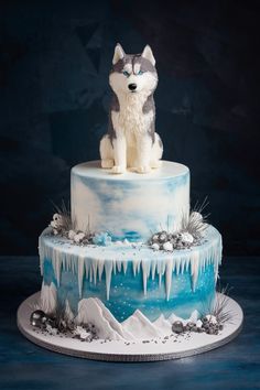 Unleash Joy with Siberian Husky Birthday Cake Designs Husky Party Ideas, Husky Birthday Cake, Wolf Cake Ideas, Husky Cake, Husky Birthday, Barbie Dress Cake