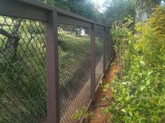 the fence is made of metal wire and has green plants growing on it, along with dirt