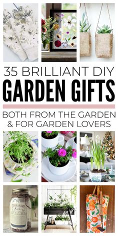 DIY garden gifts are a brilliant way to solve two problemsFirstlywhat to get someone who likes gardening and especially what to get the gardener who has everythingBut secondlyhow to make free Diy Garden Gifts, Diy Christmas Gifts Cheap, Flower Bookmark, Garden Christmas, Garden Gift, Cadeau Diy