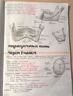 an open notebook with drawings of human anatomy and other medical information on the page in english