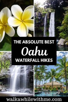 the absolute best oahu waterfall hikes