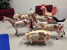 four plastic horses are shown on a table