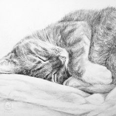 a drawing of a cat sleeping on top of a bed