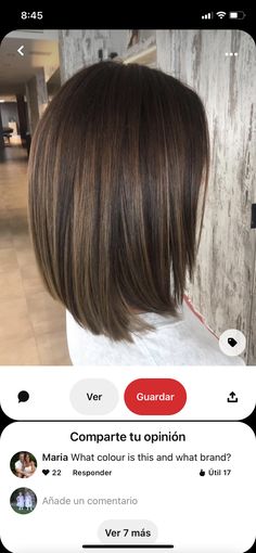 Brown Straight Hair, Haircuts For Medium Length Hair, Short Brown Hair, Brown Hair Balayage, Hair Color And Cut, Hair Coloring, Brown Hair With Highlights, Hair Inspiration Color