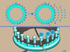 an image of the inside workings of a toothbrush