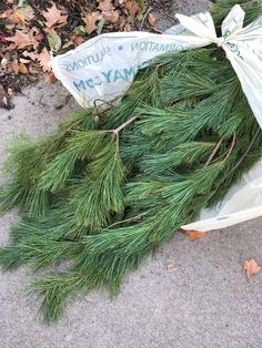 a bunch of pine branches laying on the ground next to a bag with a white ribbon