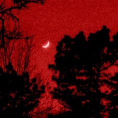 the moon is seen through some trees at night, with red sky in the background