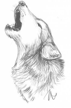 a drawing of a dog with its mouth open