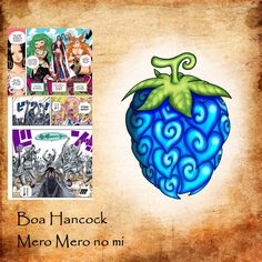 an image of a cartoon character next to a page from the book boa hancock metro metro no mi