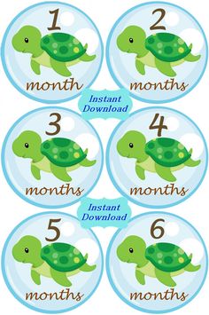 INSTANT DOWNLOAD  DIY Baby Sea Turtles by SnuggleBugBabyandMe, $5.25 Turtle Patterns, Fantasy Nursery, Turtle Quilt, Monthly Stickers