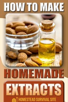 the cover of how to make homemade extra nuts