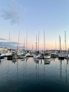 many boats are docked in the water at sunset