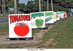 Roadside signs leading to farmstand Long Island NY - Stock Image Roadside Fruit Stand, Farm Stand Signs, Garden Whirligig, Art Ideas For Home, Wall Decorations Ideas, Farmers Market Decor, Seasonal Decor Ideas