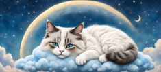 a painting of a cat laying on top of a cloud