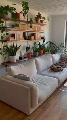 a living room filled with furniture and lots of plants