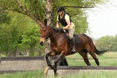 a woman riding on the back of a brown horse through a lush green field next to a tree