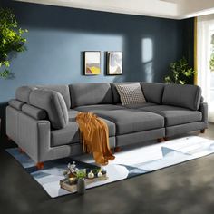 a living room with blue walls and grey couches in the center, rugs on the floor