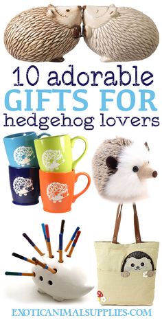 the cover of 10 adorable gifts for hedgehog lovers by extcannnal supties