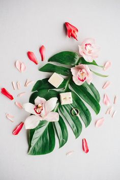 pink flowers and green leaves on a white surface with two wedding rings in the middle