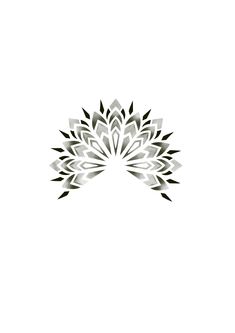 an abstract flower design in black and white on a white background for the logo or wallpaper