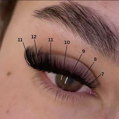 CAT EYE LASH MAP Cat Eye Extensions Map, Cat Volume Lashes, Hybrid Kitten Eye Lash Extensions, Lash Map Natural Cat Eye, Lash Map Cat Eye Volume, Fox Lash Map, Kitten Eye Lash Map, Round Eye Lash Map, Short Cat Eye Lash Map