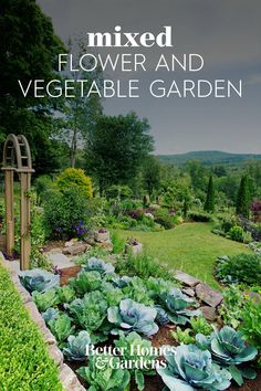 an image of a garden with flowers and vegetables in the foreground text reads mixed flower and vegetable garden better homes gardens