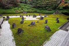 an area with rocks and moss growing on the ground