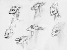 some drawings of different types of animals and their heads are shown in this drawing technique