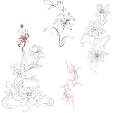 four different types of flowers are shown in this drawing technique, each with an individual's own image