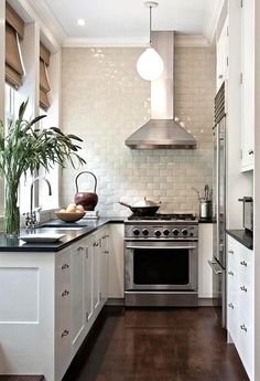 a kitchen with an oven, stove and potted plant on the counter in front of it