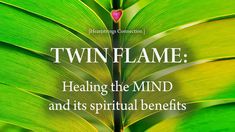 a green leaf with the words twin flame on it's front and back side