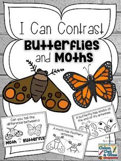 i can contrast butterflies and moths