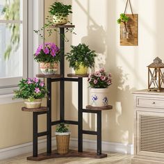 three tiered plant stand with potted plants