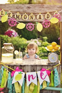 Ariana Birthday, Lemonade Party Theme, Lemon Banner, Lemon Garland, Lemonade Birthday Party, Lemonade Stand Party, Lemon Themed Party