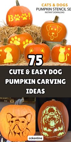 pumpkin carving ideas for dogs and cats