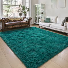 a living room filled with furniture and a green rug