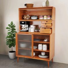 a wooden cabinet filled with lots of items next to a potted plant and wall