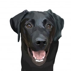 a black dog with its tongue out and it's face slightly tilted to the side