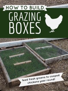 how to build grazing boxes for chickens