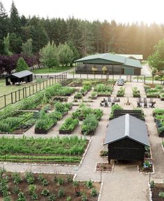 an aerial view of a farm with lots of plants