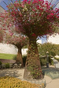 a tree that is in the middle of some flowers