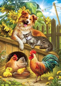 two dogs and three chickens on a fence with sunflowers in the back ground